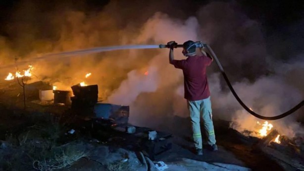 Foto - Binlerce arıyı yanmaktan kurtardı