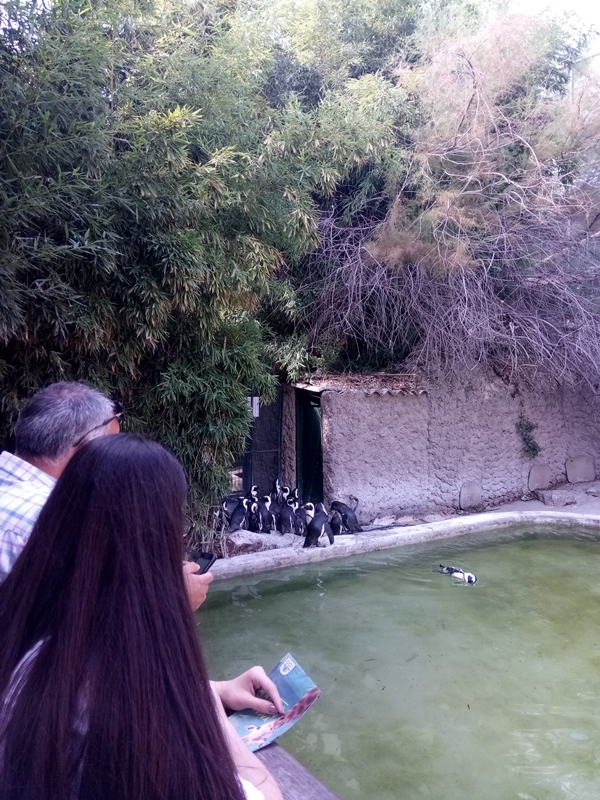 Foto - Binlerce hayvana ev sahipliği yapıyor: Faruk Yalçın Hayvanat Bahçesi ve Botanik Parkı