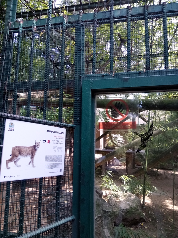 Foto - Binlerce hayvana ev sahipliği yapıyor: Faruk Yalçın Hayvanat Bahçesi ve Botanik Parkı