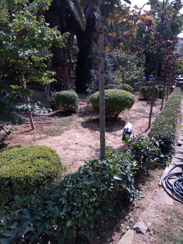 Foto - Binlerce hayvana ev sahipliği yapıyor: Faruk Yalçın Hayvanat Bahçesi ve Botanik Parkı