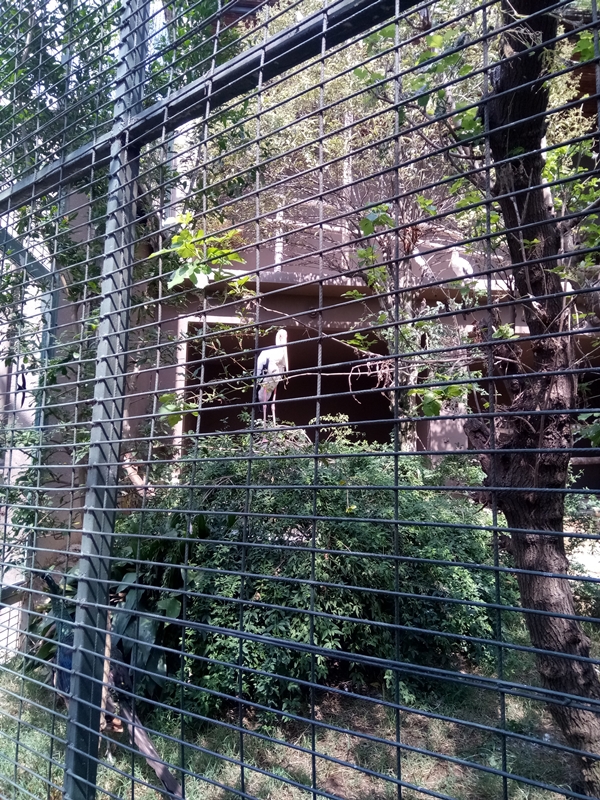 Foto - Binlerce hayvana ev sahipliği yapıyor: Faruk Yalçın Hayvanat Bahçesi ve Botanik Parkı