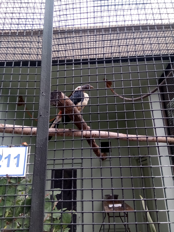 Foto - Binlerce hayvana ev sahipliği yapıyor: Faruk Yalçın Hayvanat Bahçesi ve Botanik Parkı