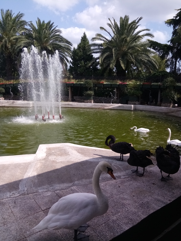 Foto - Binlerce hayvana ev sahipliği yapıyor: Faruk Yalçın Hayvanat Bahçesi ve Botanik Parkı