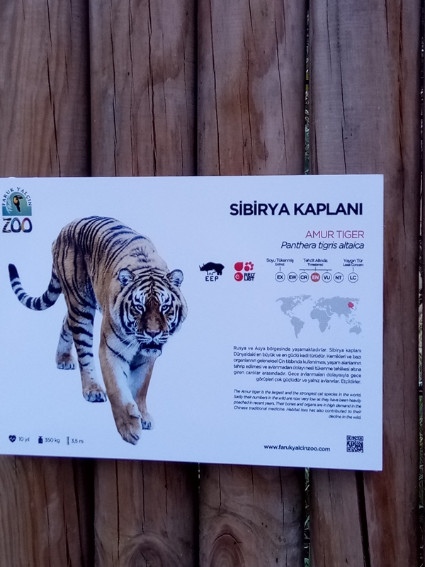 Foto - Binlerce hayvana ev sahipliği yapıyor: Faruk Yalçın Hayvanat Bahçesi ve Botanik Parkı