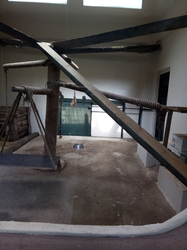 Foto - Binlerce hayvana ev sahipliği yapıyor: Faruk Yalçın Hayvanat Bahçesi ve Botanik Parkı