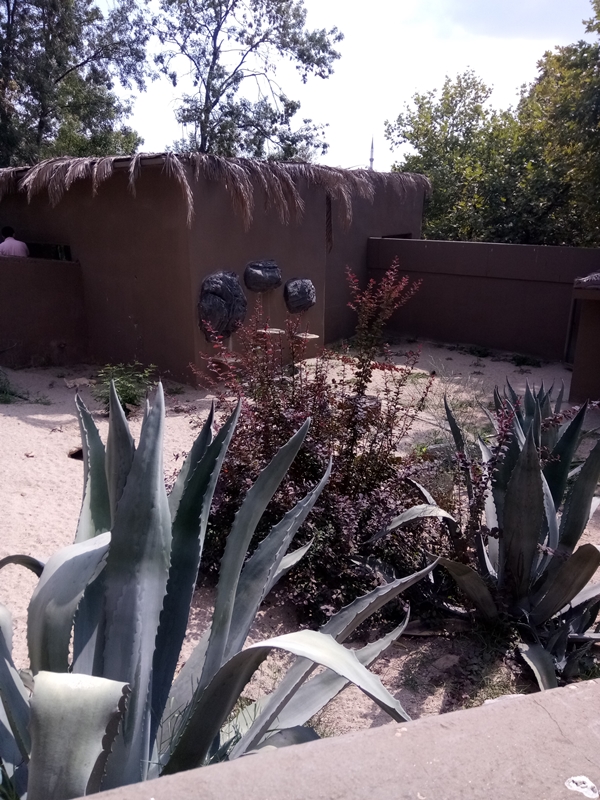 Foto - Binlerce hayvana ev sahipliği yapıyor: Faruk Yalçın Hayvanat Bahçesi ve Botanik Parkı