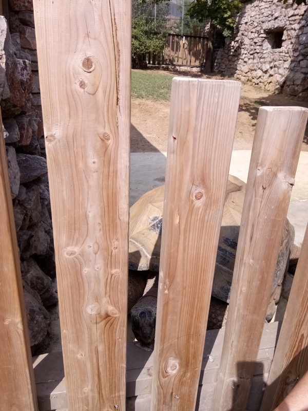 Foto - Binlerce hayvana ev sahipliği yapıyor: Faruk Yalçın Hayvanat Bahçesi ve Botanik Parkı