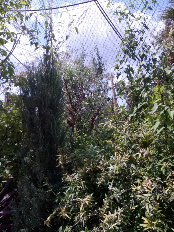 Foto - Binlerce hayvana ev sahipliği yapıyor: Faruk Yalçın Hayvanat Bahçesi ve Botanik Parkı