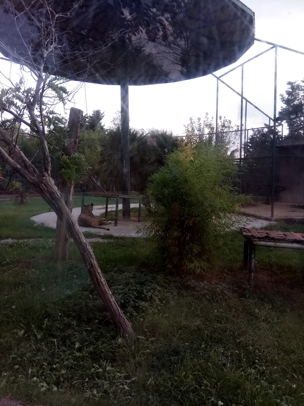 Foto - Binlerce hayvana ev sahipliği yapıyor: Faruk Yalçın Hayvanat Bahçesi ve Botanik Parkı