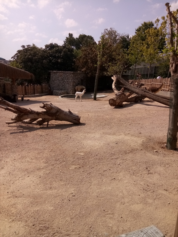 Foto - Binlerce hayvana ev sahipliği yapıyor: Faruk Yalçın Hayvanat Bahçesi ve Botanik Parkı