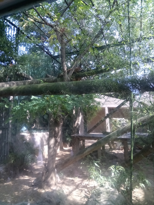 Foto - Binlerce hayvana ev sahipliği yapıyor: Faruk Yalçın Hayvanat Bahçesi ve Botanik Parkı