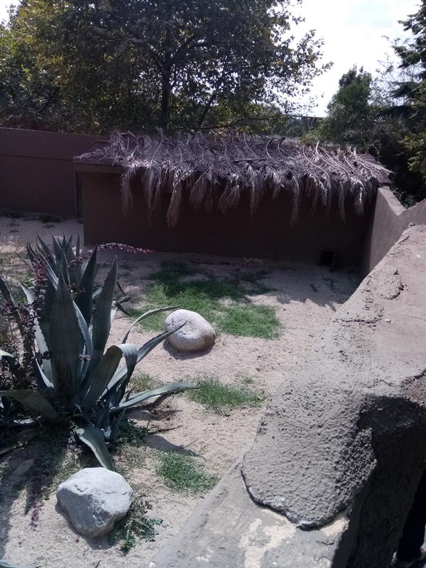 Foto - Binlerce hayvana ev sahipliği yapıyor: Faruk Yalçın Hayvanat Bahçesi ve Botanik Parkı