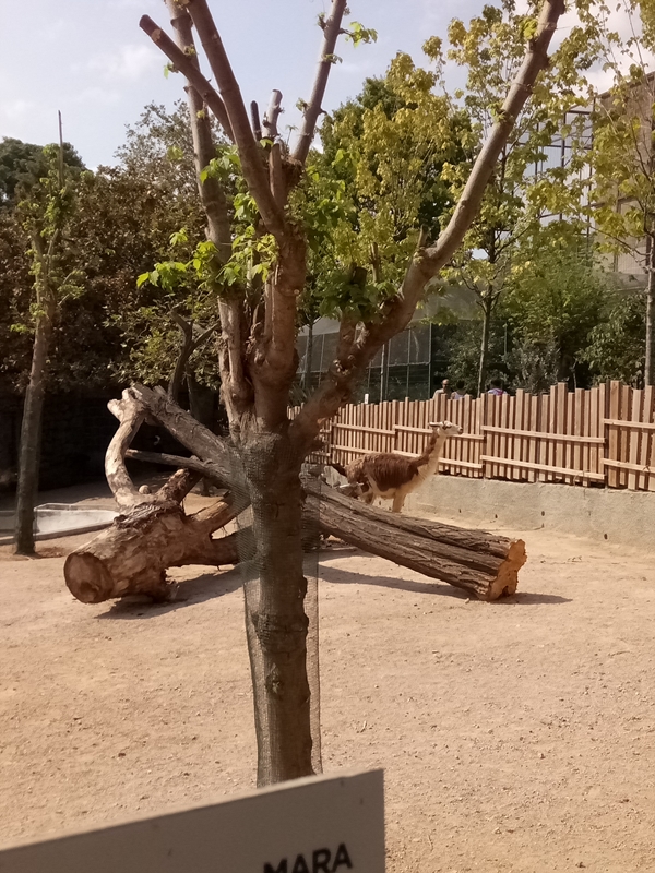Foto - Binlerce hayvana ev sahipliği yapıyor: Faruk Yalçın Hayvanat Bahçesi ve Botanik Parkı