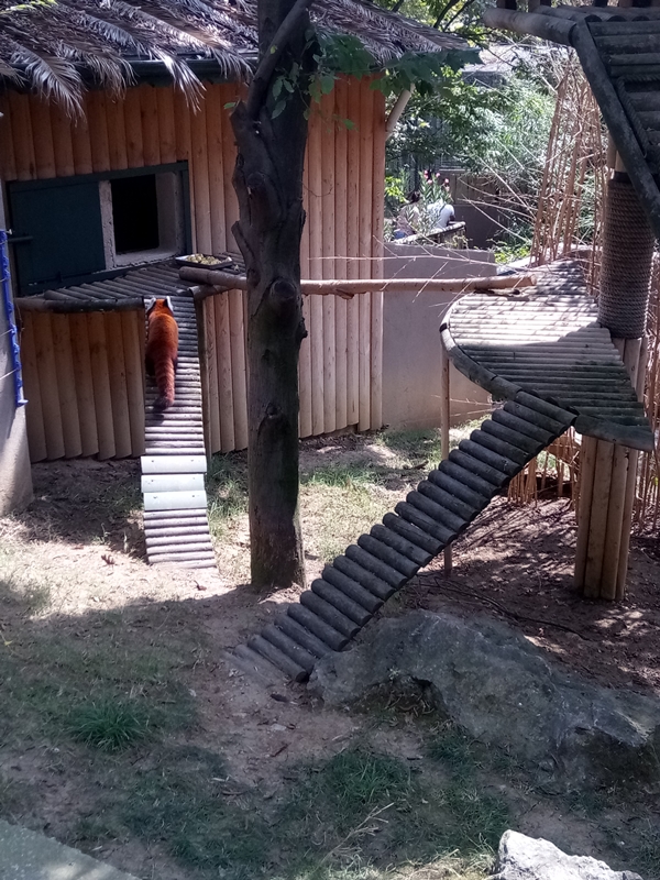 Foto - Binlerce hayvana ev sahipliği yapıyor: Faruk Yalçın Hayvanat Bahçesi ve Botanik Parkı