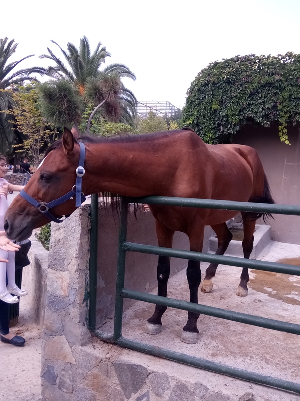Foto - Binlerce hayvana ev sahipliği yapıyor: Faruk Yalçın Hayvanat Bahçesi ve Botanik Parkı