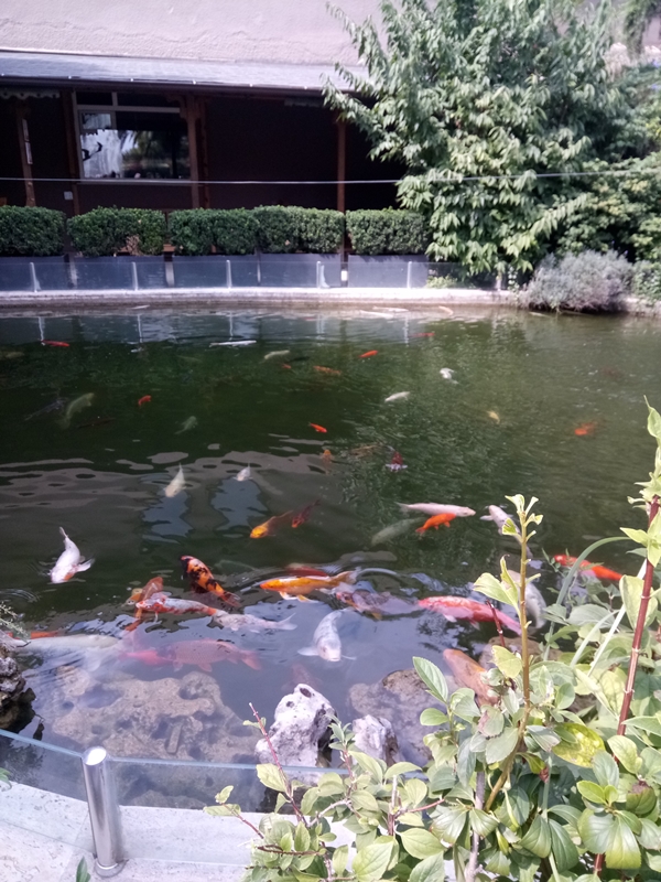 Foto - Binlerce hayvana ev sahipliği yapıyor: Faruk Yalçın Hayvanat Bahçesi ve Botanik Parkı