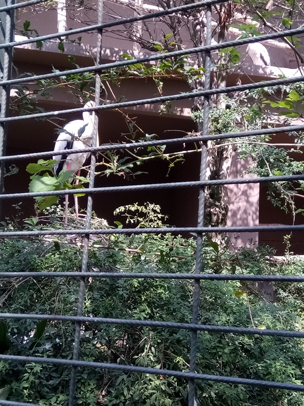 Foto - Binlerce hayvana ev sahipliği yapıyor: Faruk Yalçın Hayvanat Bahçesi ve Botanik Parkı