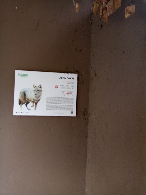 Foto - Binlerce hayvana ev sahipliği yapıyor: Faruk Yalçın Hayvanat Bahçesi ve Botanik Parkı