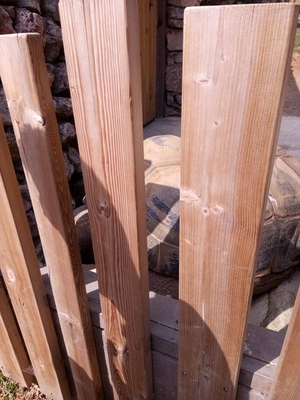 Foto - Binlerce hayvana ev sahipliği yapıyor: Faruk Yalçın Hayvanat Bahçesi ve Botanik Parkı