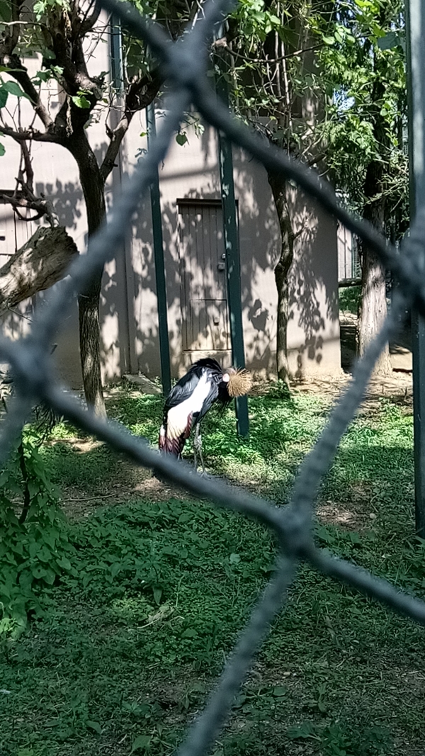 Foto - Binlerce hayvana ev sahipliği yapıyor: Faruk Yalçın Hayvanat Bahçesi ve Botanik Parkı