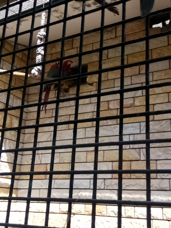 Foto - Binlerce hayvana ev sahipliği yapıyor: Faruk Yalçın Hayvanat Bahçesi ve Botanik Parkı