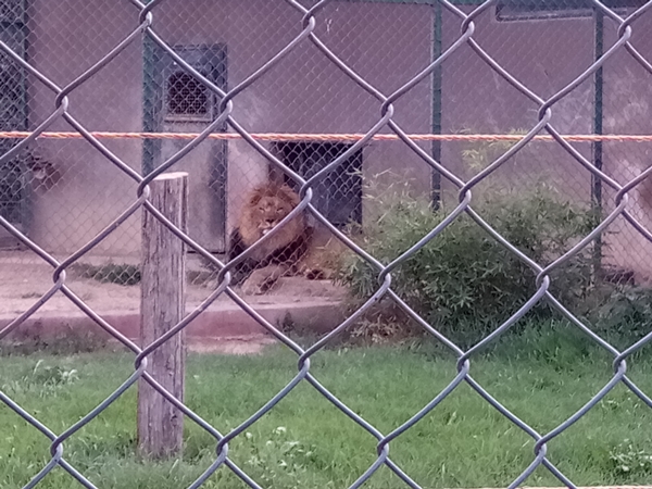 Foto - Binlerce hayvana ev sahipliği yapıyor: Faruk Yalçın Hayvanat Bahçesi ve Botanik Parkı
