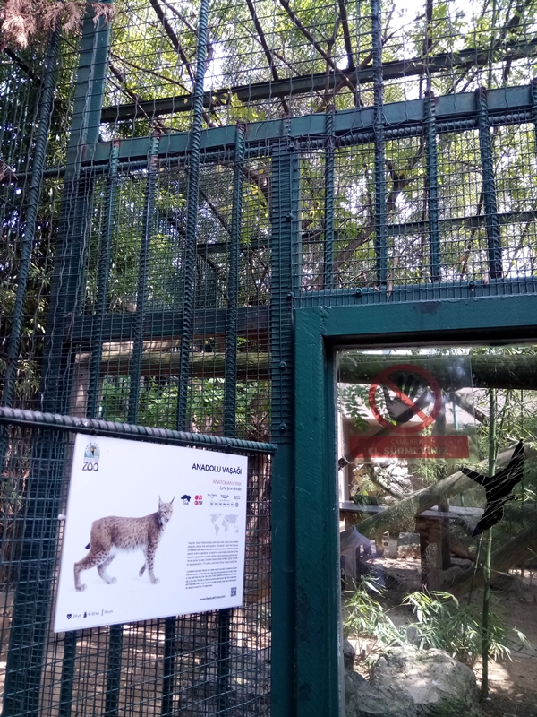 Foto - Binlerce hayvana ev sahipliği yapıyor: Faruk Yalçın Hayvanat Bahçesi ve Botanik Parkı