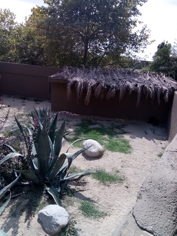 Foto - Binlerce hayvana ev sahipliği yapıyor: Faruk Yalçın Hayvanat Bahçesi ve Botanik Parkı