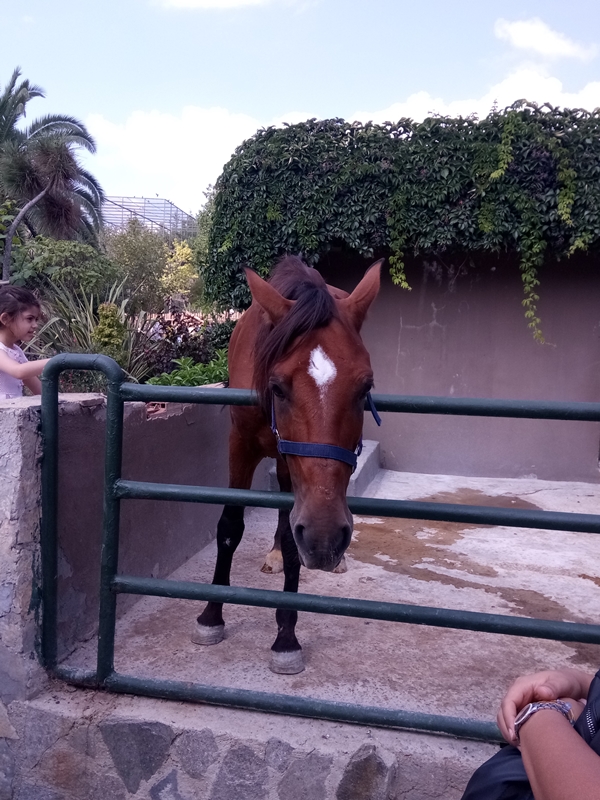 Foto - Binlerce hayvana ev sahipliği yapıyor: Faruk Yalçın Hayvanat Bahçesi ve Botanik Parkı