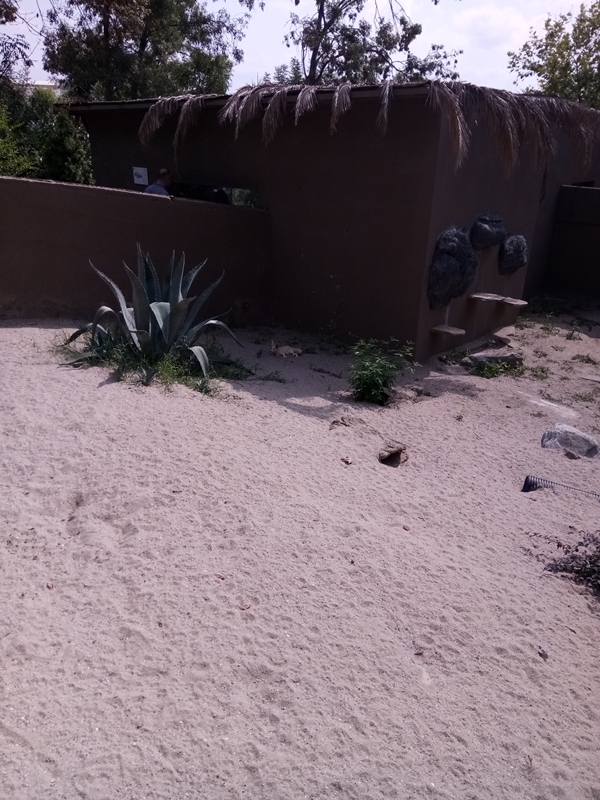 Foto - Binlerce hayvana ev sahipliği yapıyor: Faruk Yalçın Hayvanat Bahçesi ve Botanik Parkı