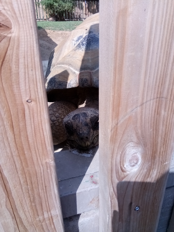 Foto - Binlerce hayvana ev sahipliği yapıyor: Faruk Yalçın Hayvanat Bahçesi ve Botanik Parkı