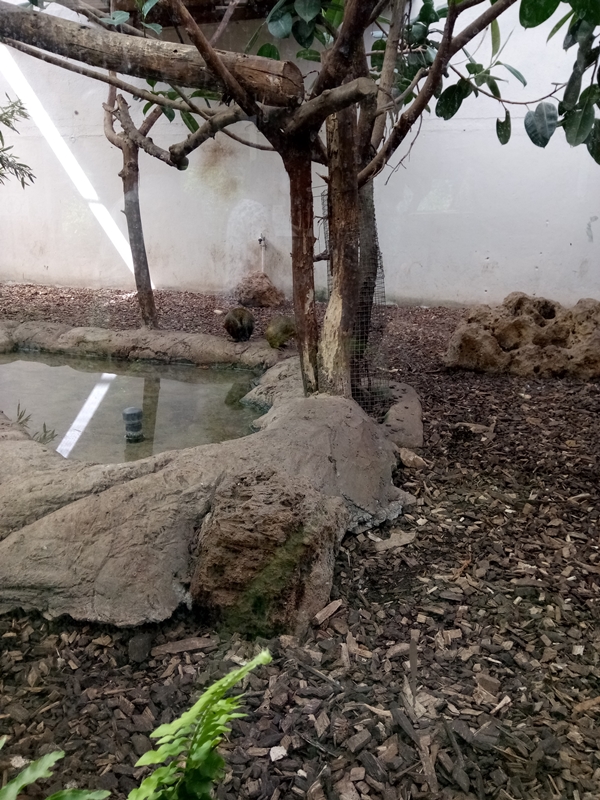 Foto - Binlerce hayvana ev sahipliği yapıyor: Faruk Yalçın Hayvanat Bahçesi ve Botanik Parkı