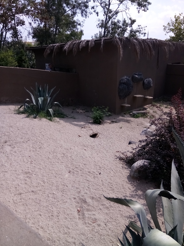 Foto - Binlerce hayvana ev sahipliği yapıyor: Faruk Yalçın Hayvanat Bahçesi ve Botanik Parkı