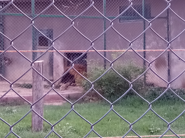 Foto - Binlerce hayvana ev sahipliği yapıyor: Faruk Yalçın Hayvanat Bahçesi ve Botanik Parkı
