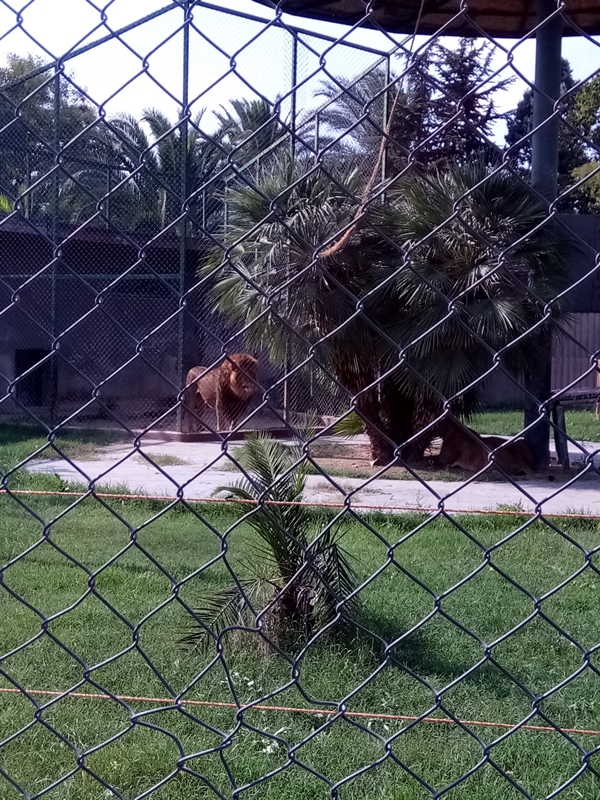 Foto - Binlerce hayvana ev sahipliği yapıyor: Faruk Yalçın Hayvanat Bahçesi ve Botanik Parkı