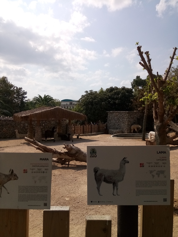 Foto - Binlerce hayvana ev sahipliği yapıyor: Faruk Yalçın Hayvanat Bahçesi ve Botanik Parkı