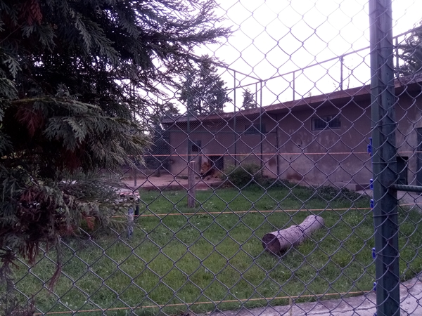 Foto - Binlerce hayvana ev sahipliği yapıyor: Faruk Yalçın Hayvanat Bahçesi ve Botanik Parkı