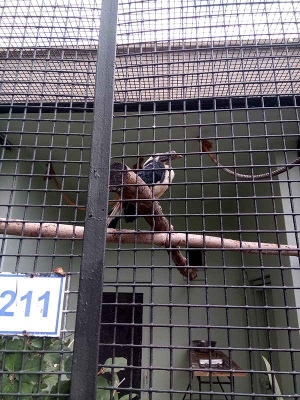 Foto - Binlerce hayvana ev sahipliği yapıyor: Faruk Yalçın Hayvanat Bahçesi ve Botanik Parkı