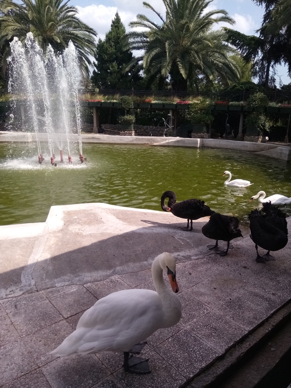Foto - Binlerce hayvana ev sahipliği yapıyor: Faruk Yalçın Hayvanat Bahçesi ve Botanik Parkı