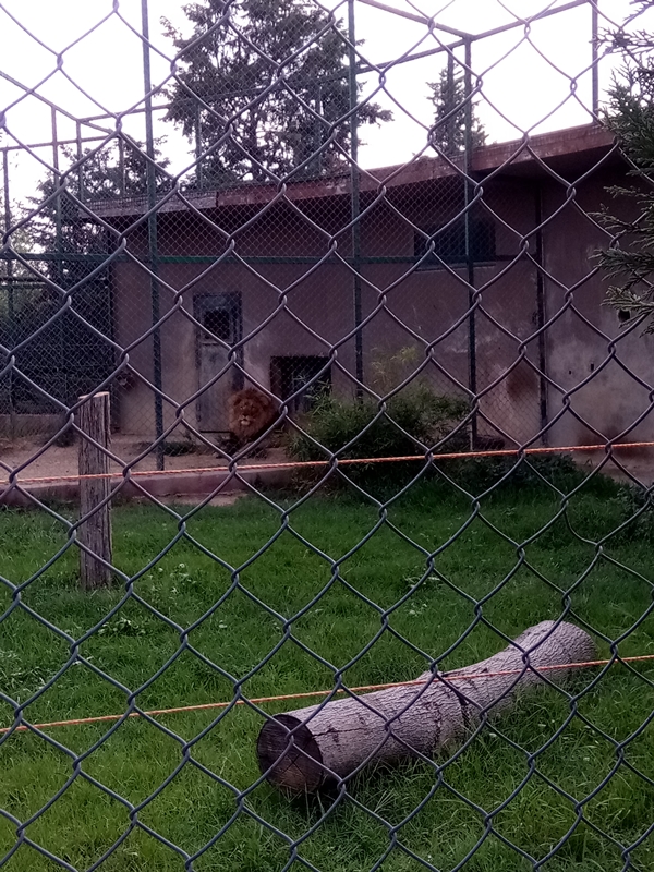 Foto - Binlerce hayvana ev sahipliği yapıyor: Faruk Yalçın Hayvanat Bahçesi ve Botanik Parkı