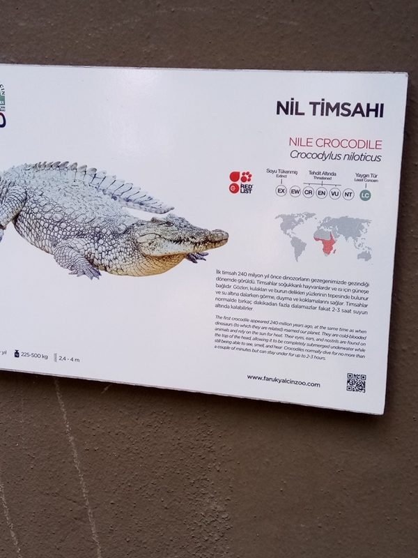 Foto - Binlerce hayvana ev sahipliği yapıyor: Faruk Yalçın Hayvanat Bahçesi ve Botanik Parkı