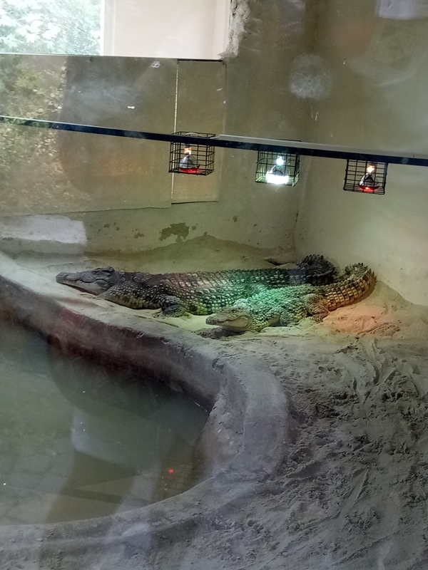 Foto - Binlerce hayvana ev sahipliği yapıyor: Faruk Yalçın Hayvanat Bahçesi ve Botanik Parkı