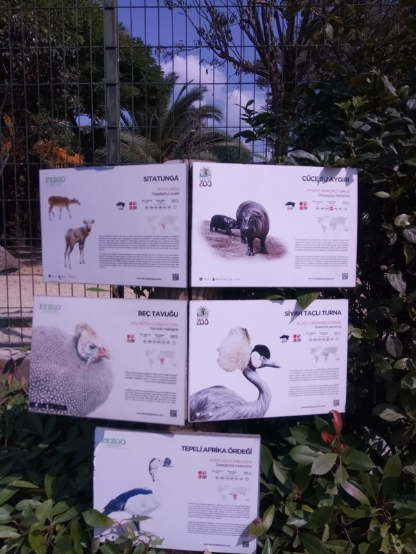 Foto - Binlerce hayvana ev sahipliği yapıyor: Faruk Yalçın Hayvanat Bahçesi ve Botanik Parkı