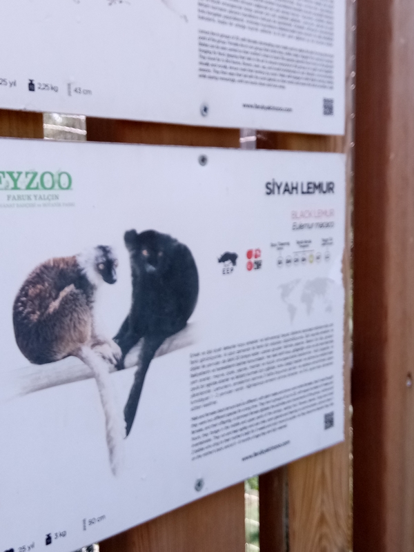 Foto - Binlerce hayvana ev sahipliği yapıyor: Faruk Yalçın Hayvanat Bahçesi ve Botanik Parkı