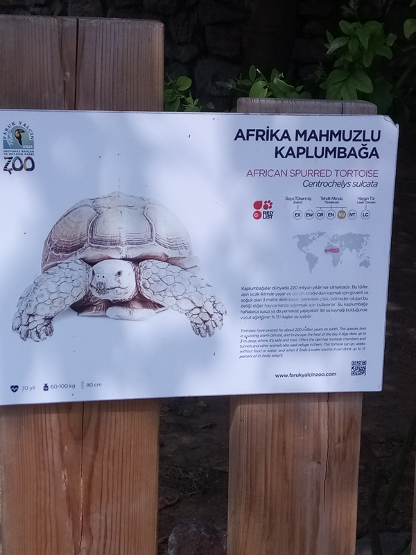 Foto - Binlerce hayvana ev sahipliği yapıyor: Faruk Yalçın Hayvanat Bahçesi ve Botanik Parkı