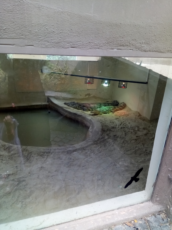 Foto - Binlerce hayvana ev sahipliği yapıyor: Faruk Yalçın Hayvanat Bahçesi ve Botanik Parkı