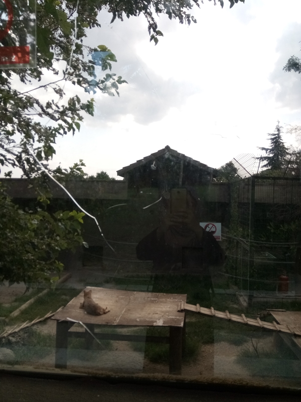 Foto - Binlerce hayvana ev sahipliği yapıyor: Faruk Yalçın Hayvanat Bahçesi ve Botanik Parkı