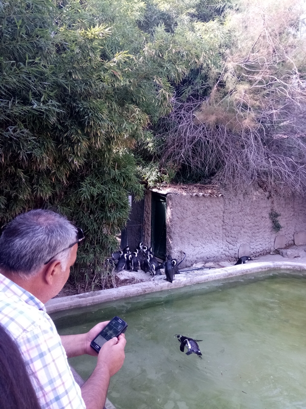 Foto - Binlerce hayvana ev sahipliği yapıyor: Faruk Yalçın Hayvanat Bahçesi ve Botanik Parkı
