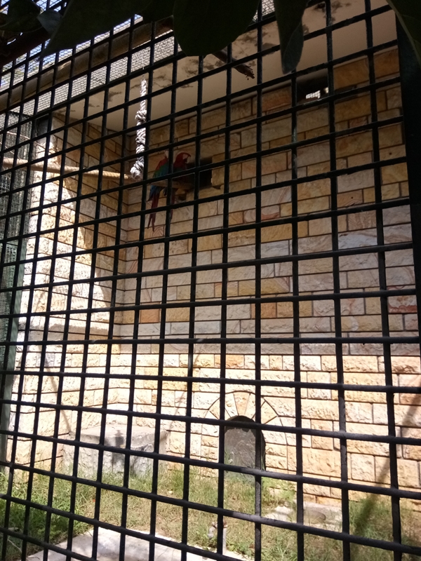 Foto - Binlerce hayvana ev sahipliği yapıyor: Faruk Yalçın Hayvanat Bahçesi ve Botanik Parkı