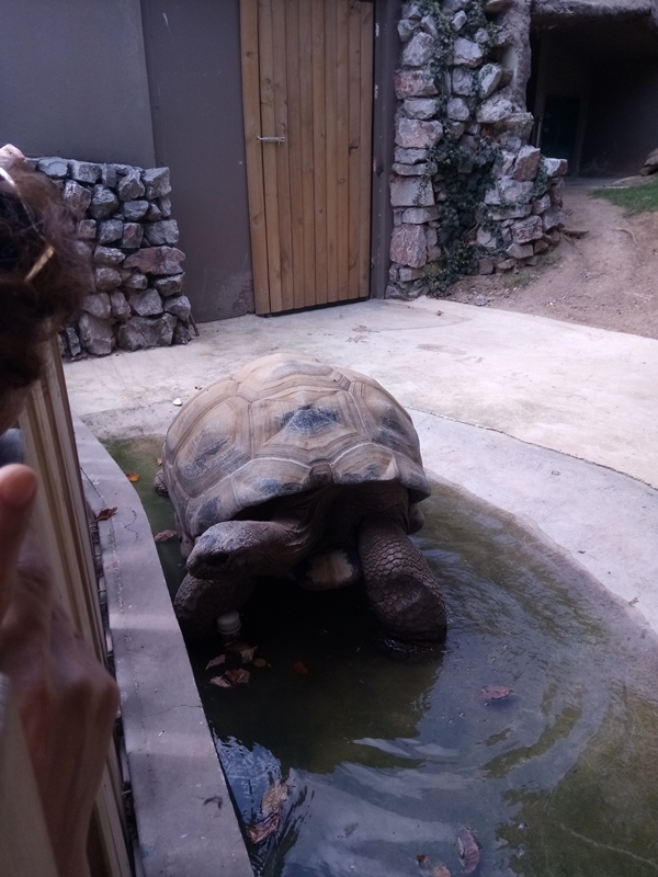 Foto - Binlerce hayvana ev sahipliği yapıyor: Faruk Yalçın Hayvanat Bahçesi ve Botanik Parkı
